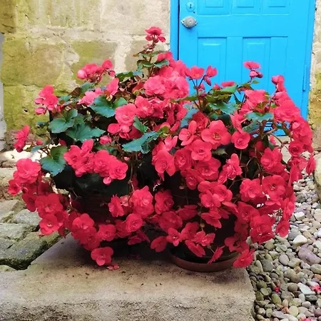 Apartmán Alexandria